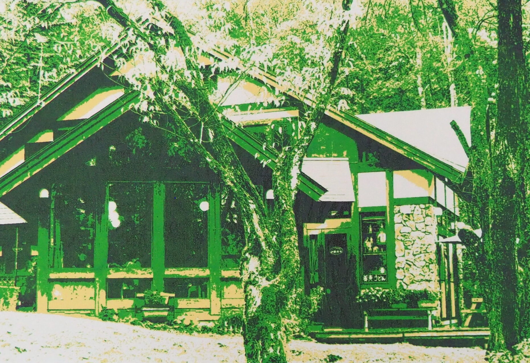 白樺湖「小梨の木の下」②